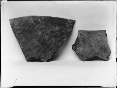 Salish pottery fragments - NARA - 523694