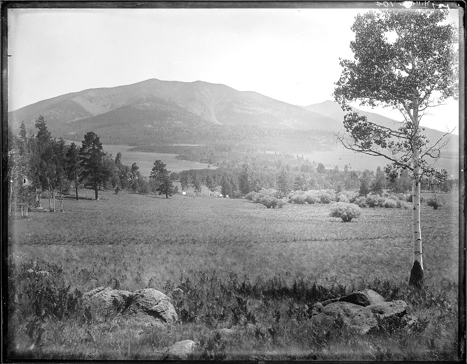 San Francisco Mountain, Coconino County, Arizona. (San Francisco Mountain quadrangle). The camp of the survey party... - NARA - 517778