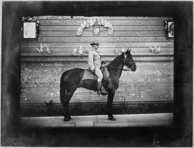 San Francisco Earthquake of 1906, (Unidentified soldier on horseback) - NARA - 522966 photo