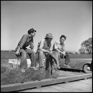 San Joaquin Valley, California. Contract Labor. The youngest migrant agricultural workers of American stock, and an... - NARA - 532159 photo