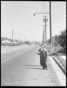 San Leandro, California. Hitch-Hiking. High school boys thumbing for a local ride to visit friends on a Saturday - NARA - 532091 photo