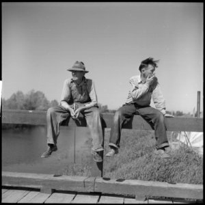 San Joaquin Valley, California. Contract Labor. Not many fish in a San Joaquin Valley irrigation ditch, but something... - NARA - 532161
