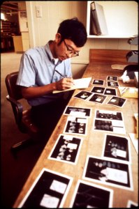 RON OSHIMA, CALIFORNIA DEPARTMENT OF AGRICULTURE, WORKING WITH PHOTOGRAPHS OF DAMAGED PLANTS AT THE - NARA - 542690
