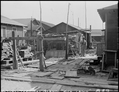 San Pedro, California. Former dwellings of fishermen of Japanese ancestry, situated on Terminal Isl . . . - NARA - 536832 photo