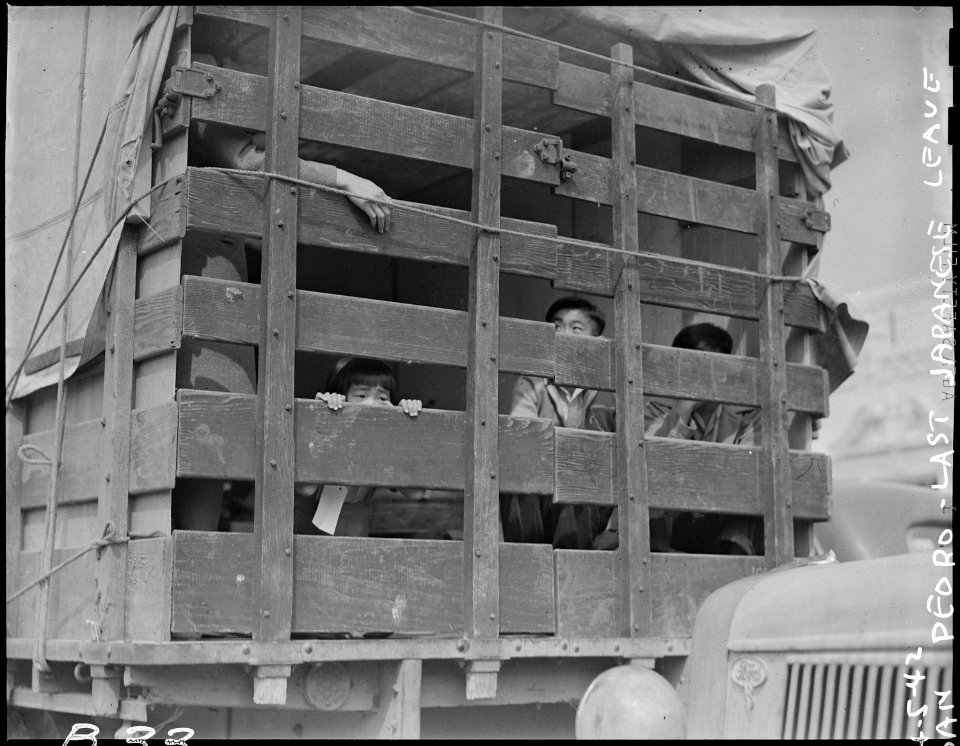 San Pedro, California. Trucks were jammed high with suitcases, blankets, household equipment, garde . . . - NARA - 536782