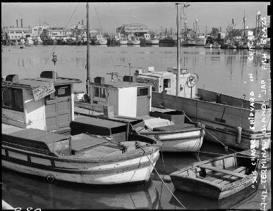 San Pedro, California. Some of the fishing boats formerly operated by residents of Japanese descent . . . - NARA - 536829