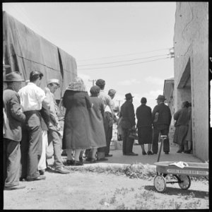 San Leandro, California. Youth on Relief. Relief clients stand in line to get their allotment of surplus commodities.... - NARA - 532127 photo