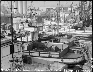 San Pedro, California. Fishing boats, formerly operated by residents of Japanese ancestry, are tied . . . - NARA - 536827 photo