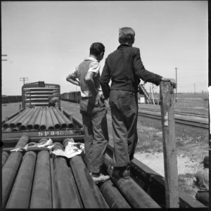 San Joaquin Valley, California. On the Freights. Two youngsters aged fifteen and sixteen traveling in the company of... - NARA - 532077 photo