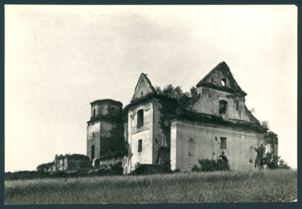 Ruiny klasztoru karmelitow bosych w Zagorzu. ca 1905 (19037117)