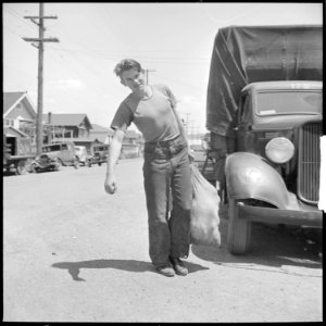 San Leandro, California. Youth on Relief. Taking home a sack of surplus commodities. On this day apples, oranges... - NARA - 532134