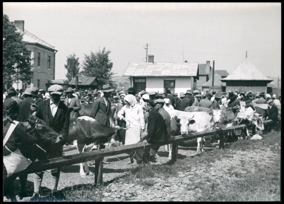 Sanok, targowica bydla ante 1936 (42179091)
