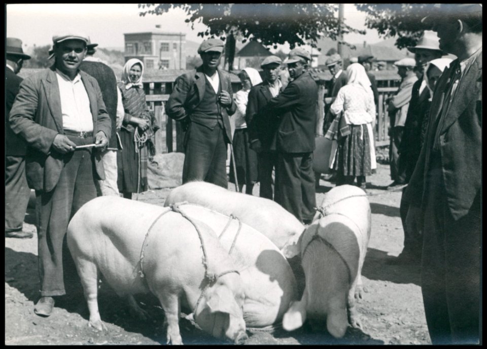 Sanok, na targowicy 1930-1939 (42165507)