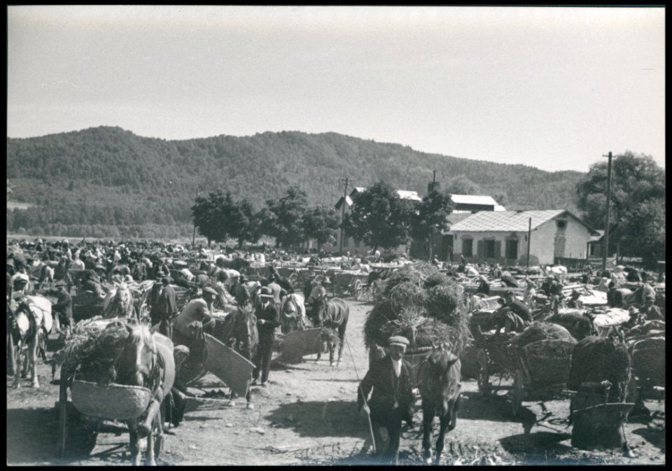 Sanok - targowica ante 1936 (42178026)