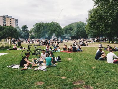 Friends family picnic photo