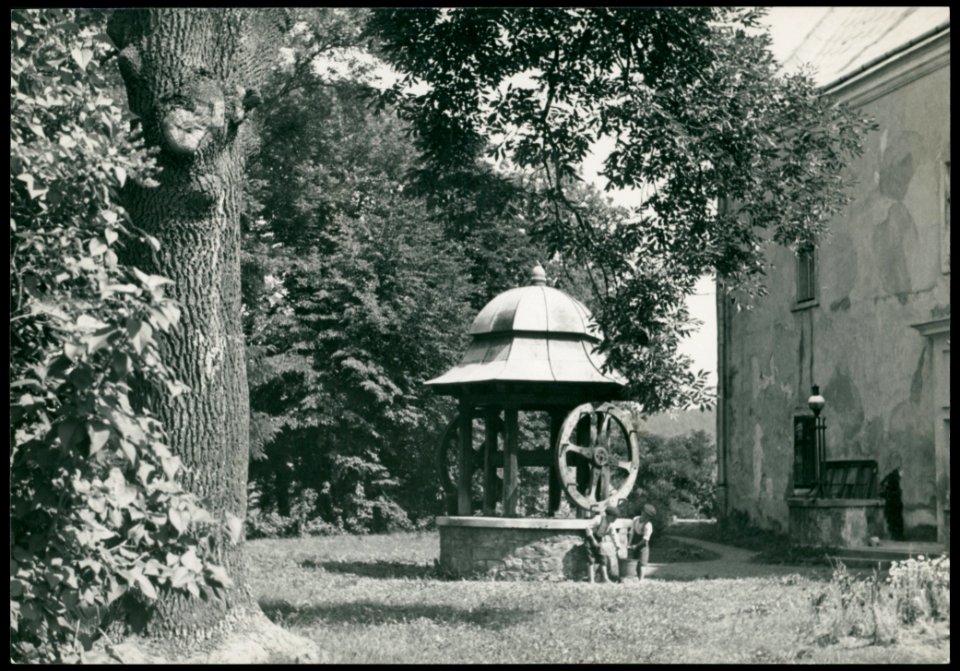 Sanok, zamek ante 1936 (44129641)