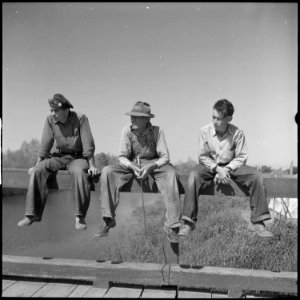 San Joaquin Valley, California. Contract Labor. The youngest migrant agricultural workers of American stock, and an... - NARA - 532160 photo