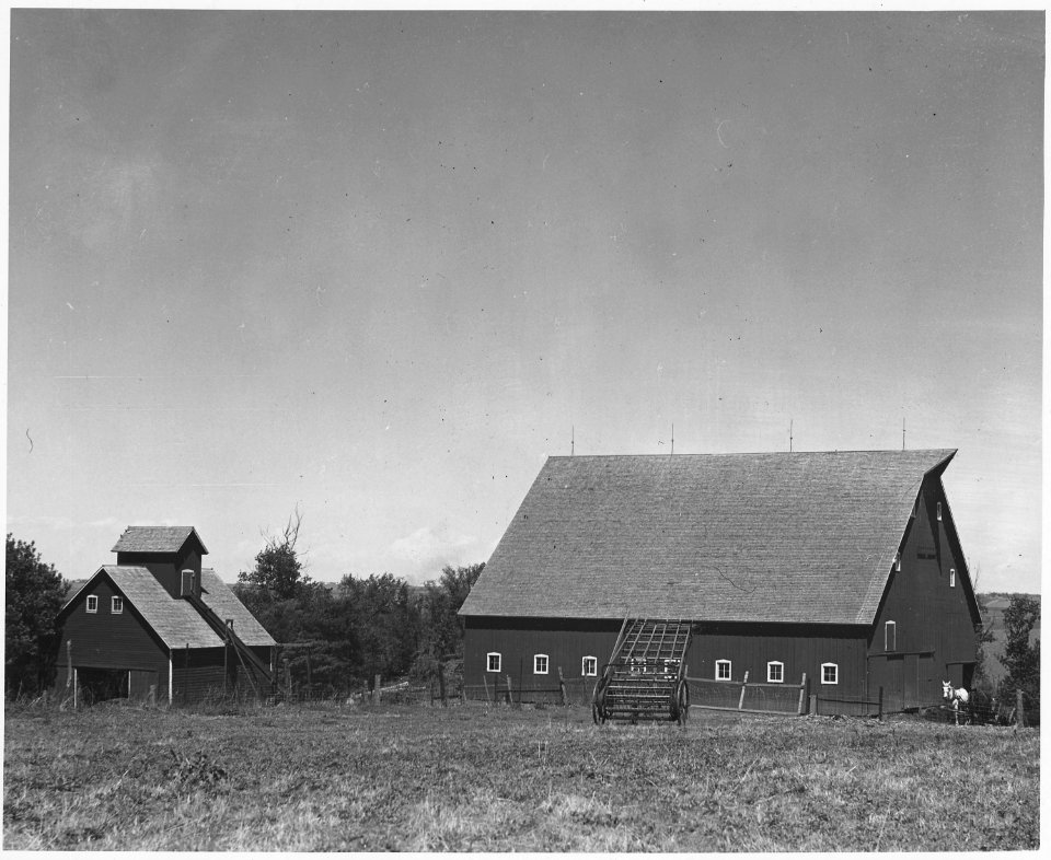 Shelby County, Iowa. These barns are on a tenant farm with less than the average amount of land unde . . . - NARA - 522340