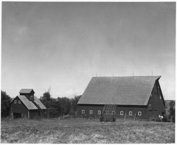 Shelby County, Iowa. These barns are on a tenant farm with less than the average amount of land unde . . . - NARA - 522340