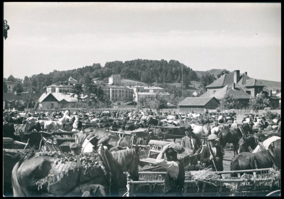Sanok, targ na targowicy ante 1936 (42179093)