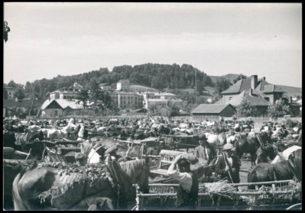 Sanok, targ na targowicy ante 1936 (42179093) photo