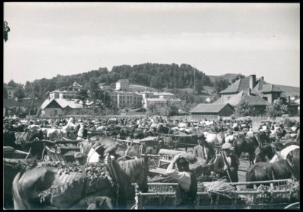Sanok, targ na targowicy ante 1936 (42179093)