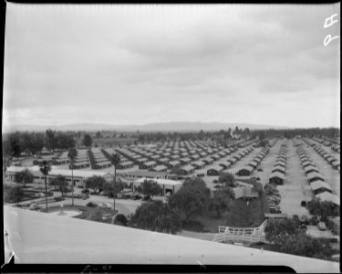 Santa Anita Assembly center, Arcadia, California. A panoramic view of the Santa Anita Assembly cent . . . - NARA - 536006 photo