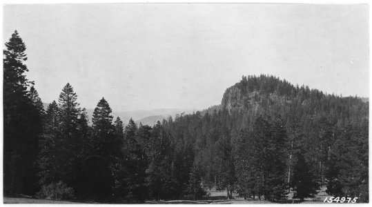 Signal Point from Main Divide Trail, Upper Mill Creek Basin, Ochoco Forest, 1914. - NARA - 299167 photo
