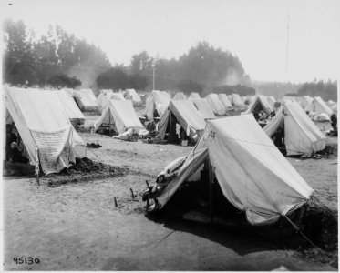 San Francisco Earthquake of 1906, Refugee camp, probably (located) in the Presidio of San Francisco - NARA - 531020