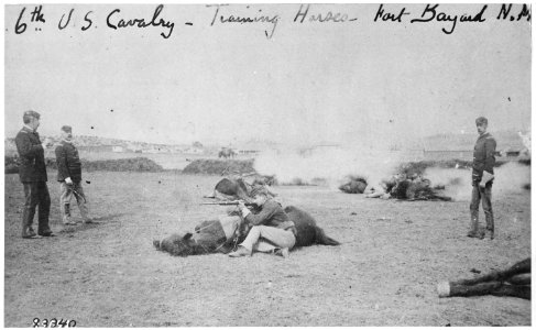 Sixth Cavalry training horses at Ft. Bayard, N. M., ca. 1885 - NARA - 530872