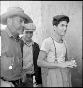 San Leandro, California. Youth on Relief. Youth stands in line with oldsters to collect their surplus commodities - NARA - 532129 photo