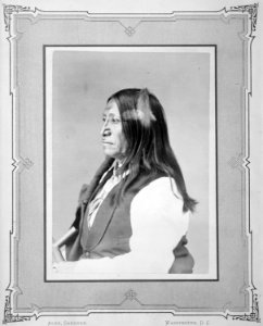 Spotted Tail-Tshin-Tah-Ge-Las-Kah. Brule Sioux - NARA - 518969 photo