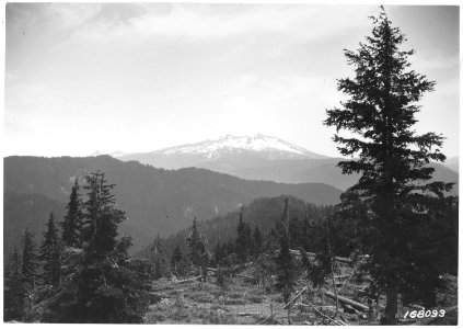 South fork of Mckenzie River Trail, Cascade Forest, Oregon, 1922. - NARA - 299201 photo