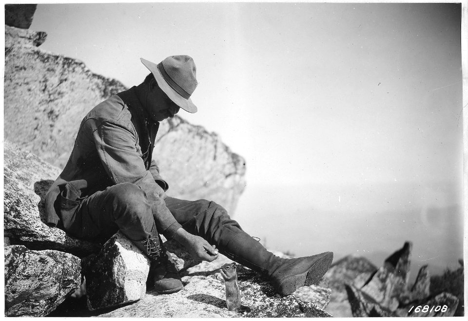 Squirrel study on Wagner Butte, Crater Forest, Oregon, 1922 - NARA - 299205