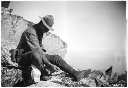 Squirrel study on Wagner Butte, Crater Forest, Oregon, 1922 - NARA - 299205