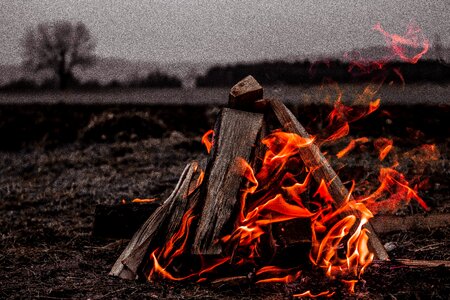 Campfire heat firewood
