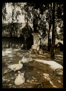 Stopnica, figura swietego Antoniego ca 1936 (66230939)
