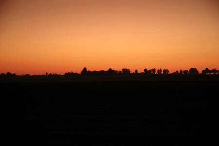 Dark twilight the line of trees photo