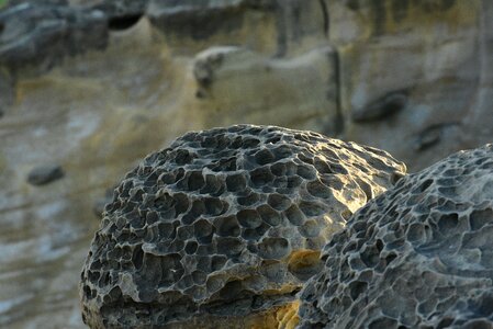 Bird stone mushroom-shaped rock photo