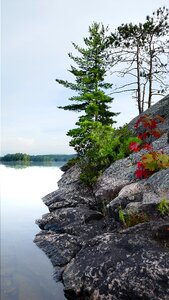 Canadian shield dawn tranquil