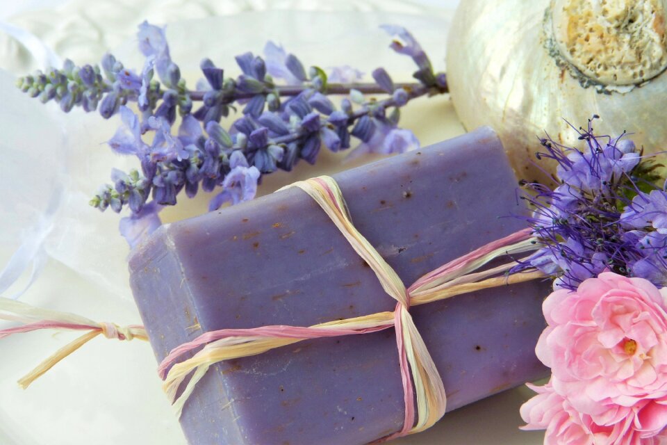 Rose shell violet
