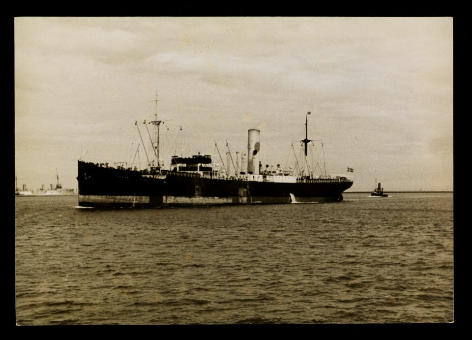 Statek SS Japan w porcie w Gdyni 1935 (67264491)
