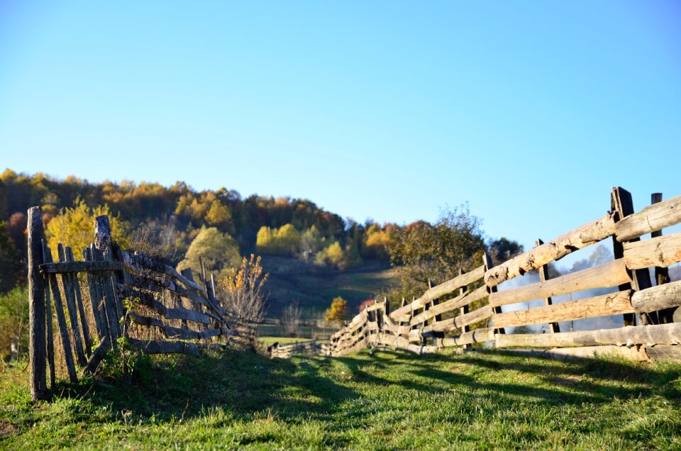 Grass wooden fence photo