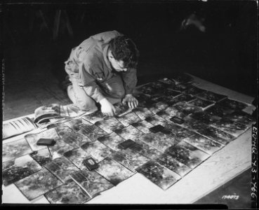 T-3 James Ellis, Ehrenfeld, Pennsylvania, laying out the photographs to check their sequence. 660th Engineers, Kew... - NARA - 531158 photo
