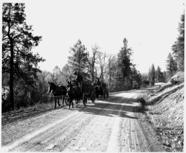 Taos County, New Mexico. Hauling wood for defense purposes out of the Rio Grand grant (owned by the . . . - NARA - 521848