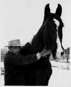 Taos County, New Mexico. Louis Lopez, Picaris Indian, works for Pablo Gomez, Ranchitos. - NARA - 521910
