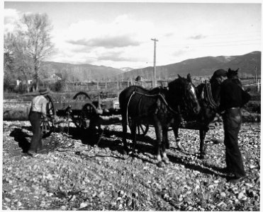 Taos County, New Mexico. Gravel from the river bed will be used to make the area immediately surrou . . . - NARA - 521819