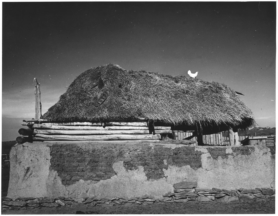 Taos County, New Mexico. Outbuilding, Los Cordovas - NARA - 521943