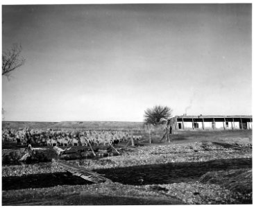 Taos County, New Mexico. Sheep herd, Ranchitos. Sheep will be driven to market in Colorado. - NARA - 521946