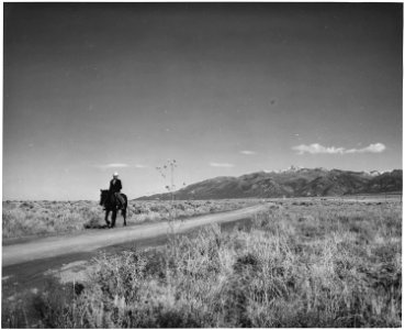 Taos County, New Mexico. The road to Arroyo Seco, in the distance, the Sange de Cristo Mountains, f . . . - NARA - 521822